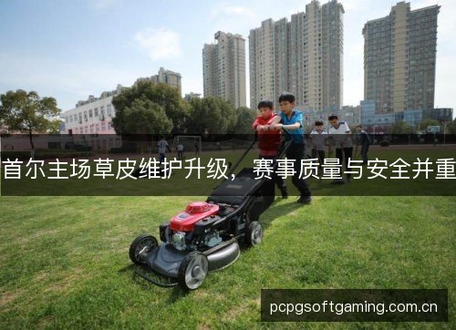 首尔主场草皮维护升级，赛事质量与安全并重